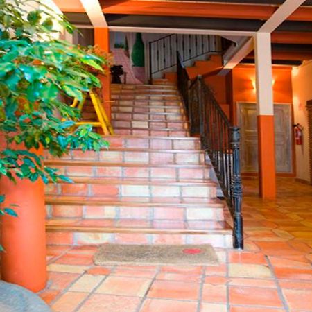 Apartamentos Senorio De Haro 3000 Exteriér fotografie